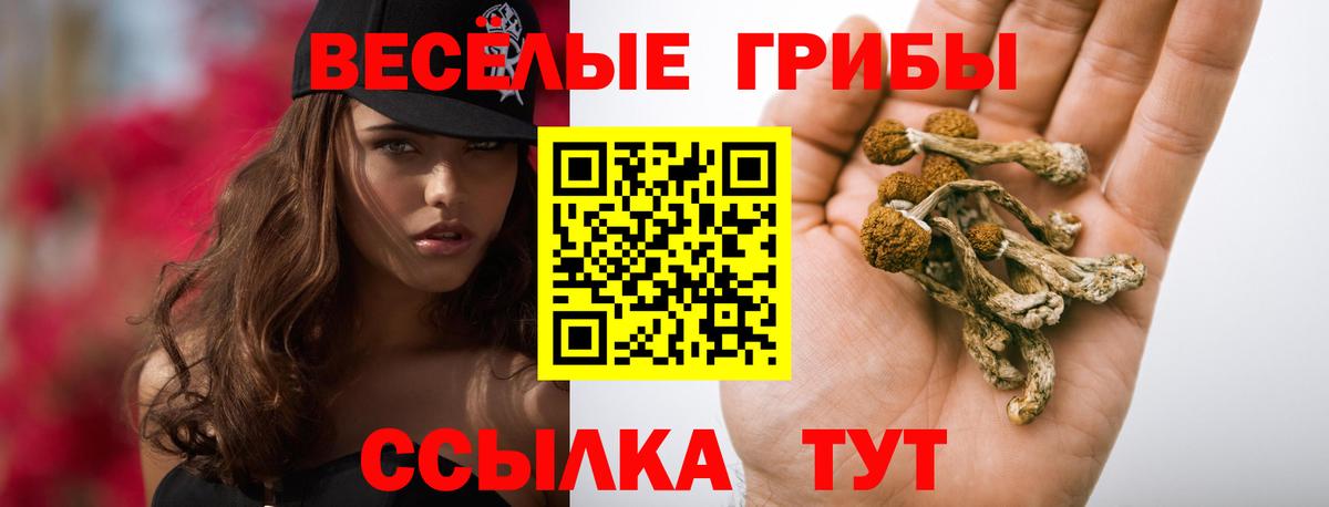 Псилоцибиновые грибы Magic Shrooms Гусиноозёрск